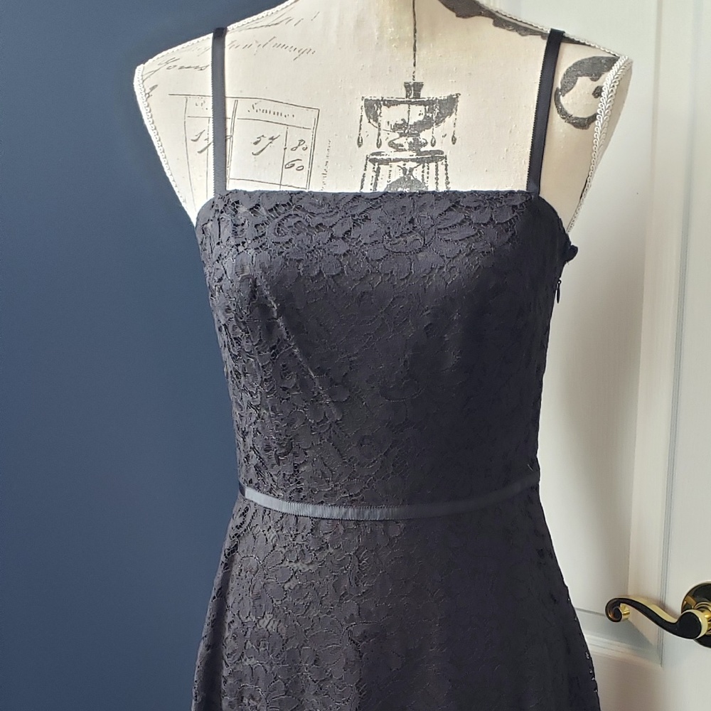 NWT Ann Taylor lace, fully lined, knee length dress